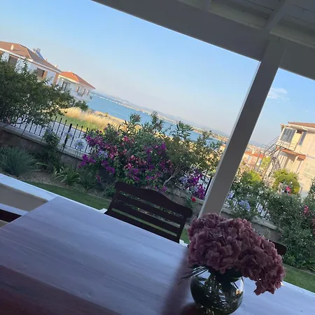 Oran House *